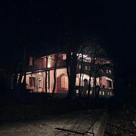 Nest Uludag *