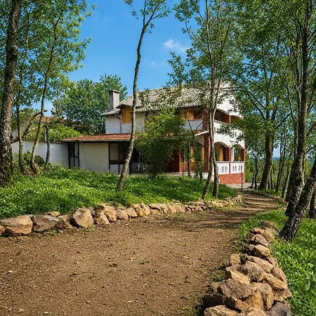 Nest Uludag * Huseyinalan