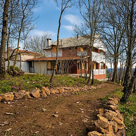 Nest Uludag * Huseyinalan