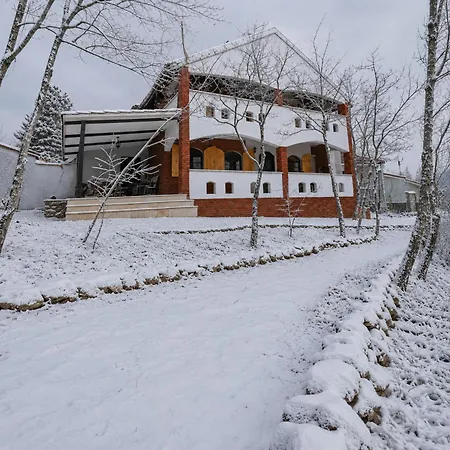 Nest Uludag *