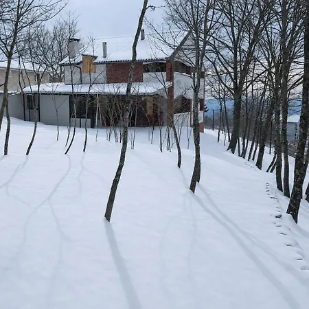 Chalet Nest Uludag